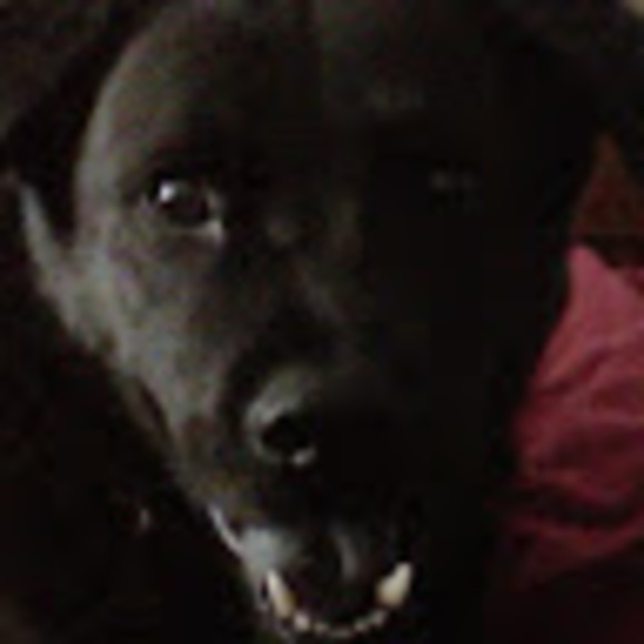 Meet your Posher, Jacob - Picture 1 of 1